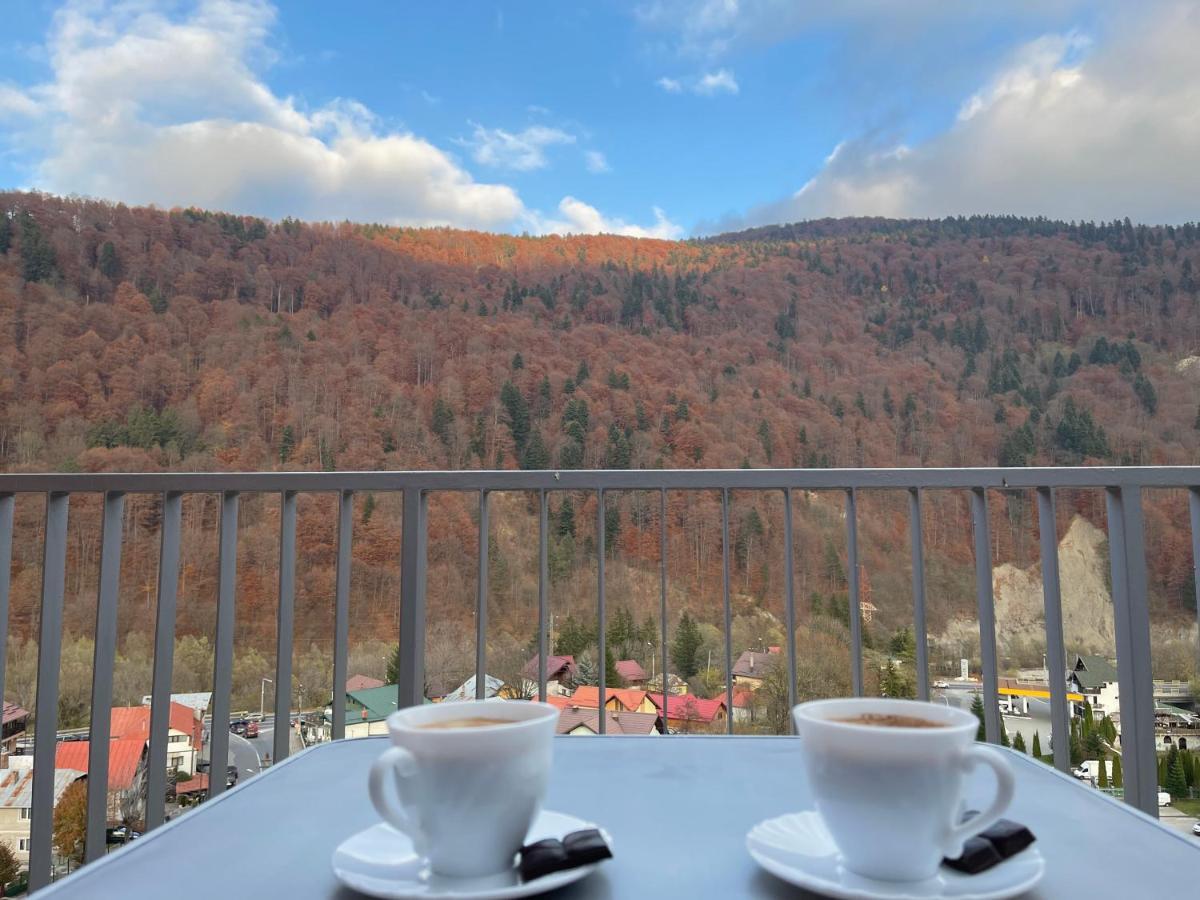 Viewapart Sinaia Dış mekan fotoğraf
