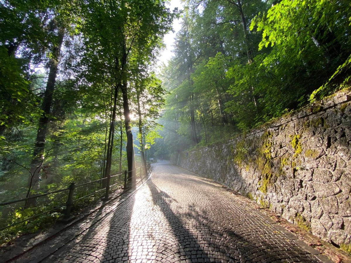 Viewapart Sinaia Dış mekan fotoğraf