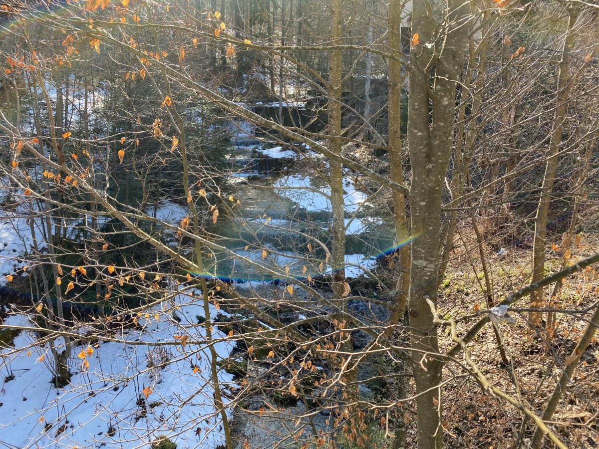 Viewapart Sinaia Dış mekan fotoğraf